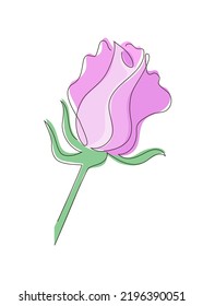 Rosebud drawn in a single line style. Pink delicate rose. Stock vector illustration, isolated on white background