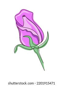 Rosebud drawn in a single line style. Pink delicate rose. Stock vector illustration, isolated on white background