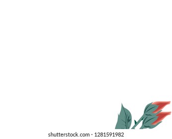 rosebud flower vector for banner, presentation and wallpaper purposes on white background 21