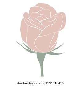 Rosebud Vector Illustration Isolated On White Stock Vector (Royalty ...