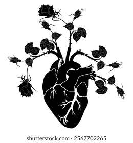 Rosebuds sprouting from human heart. Creative design. Black and white silhouette.