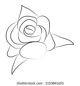 rose.drawn rose, flowers, beautiful rose