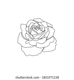 Rose. Flor. Dibujo de una línea. Dibujo de línea continua de la ilustración del vector.