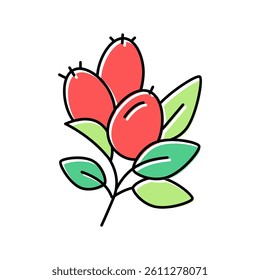 rosehip aromatherapy color icon vector. rosehip aromatherapy sign. isolated symbol illustration