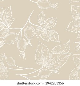 Rose-hip background, floral pattern, seamless texture, herbal medicine