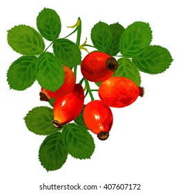 rosehip berries