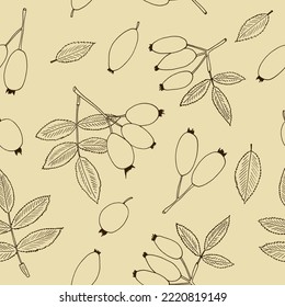 rosehip berries and leaves seamless pattern hand drawn in doodle style. Suitable for wallpaper, textile, wrapping paper, background. 