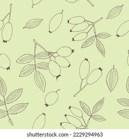 rosehip berries and leaves seamless pattern hand drawn in doodle style. Suitable for wallpaper, textile, wrapping paper, background. 