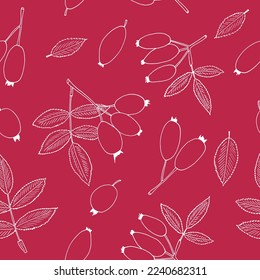 rosehip berries and leaves seamless pattern hand drawn in doodle style. Suitable for wallpaper, textile, wrapping paper, background.