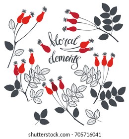 Rosehip berries.  Nine isolated vector floral elements for design on a white background.