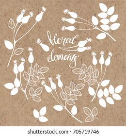 Rosehip berries.  Nine isolated vector floral elements for design  on a kraft paper.