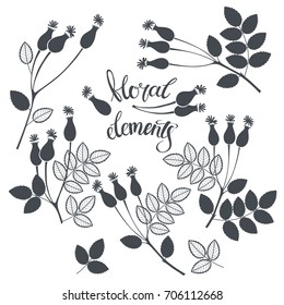 Rosehip berries.  Nine isolated vector floral elements for design. Black silhouettes on a white background.