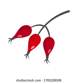 Fresas de cadera en una rama. La ilustración vectorial en un estilo plano sobre un fondo blanco está aislada.