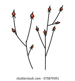 rosehip berries on branch vector drawing