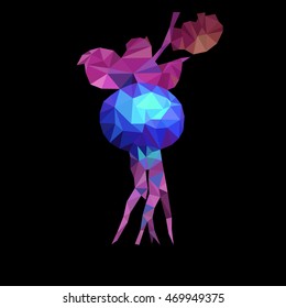 rosehip berry blue