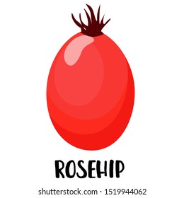 Rosehip berry on a white background. Vector illustration. Logo