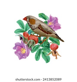 Rosehip and bird, flowers, berries. Graphic illustration isolated on white background. Cards, invitations, spring banners, packaging, labels, covers.