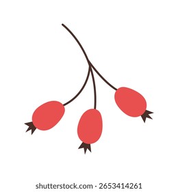 Rama de rosa mosqueta. Elemento de bosque de otoño. Ilustración vectorial.