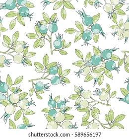 Rosehip branch with berries. Spring seamless pattern.