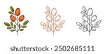 Rosehip branch with edible red berries, healthy nutrition. Colorful and line icon set. Vector botanical flat outline icon, monochrome and color illustration. For logo, sticker, coloring book, label