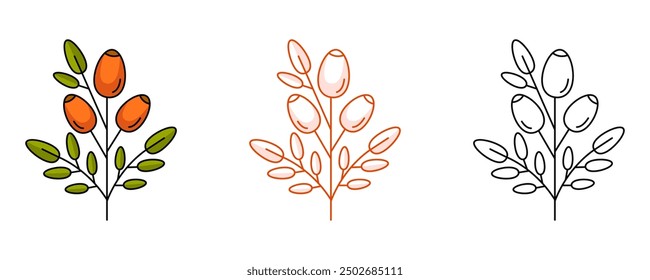 Rosehip branch with edible red berries, healthy nutrition. Colorful and line icon set. Vector botanical flat outline icon, monochrome and color illustration. For logo, sticker, coloring book, label