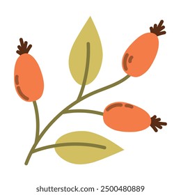 Hagebuttenzweig mit roten Beeren und grünen Blättern auf weißem Hintergrund, Hagebuttenvektorgrafik, Symbol, botanische Illustration