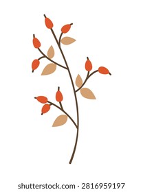 Rosehip branch vector illustration in minimal flat style featuring orange berries and beige leaves on white background for autumn greeting cards textile design and cozy seasonal decor