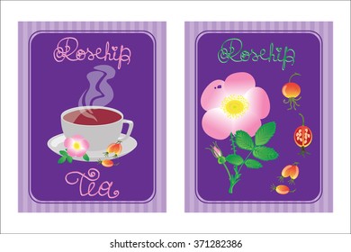 Rosehip dog-rose flower, berries and a cup of rosehip tea, vector EPS 10