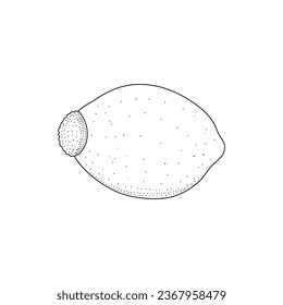 Rosehip-Doodle-Skizze. Vektorgrafiken einzeln auf weißem Hintergrund
