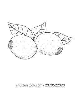 Rosehip doodle sketch. Vector graphics isolated on white background