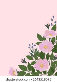 Rosehip flowers with leaves on a pink background. Vector card template for greeting.