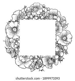 Flores de cadera. Marco redondo. Ilustración de fondo. Esbozo de dibujo manual. Flores de plantas de jardín. Resumen de la planta. Vector