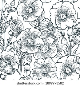 Rosehip flowers. Seamless pattern for wallpaper and fabric. Background illustration. Hand drawing outline. Flowering of garden plants. Abstract plant picture. Vector