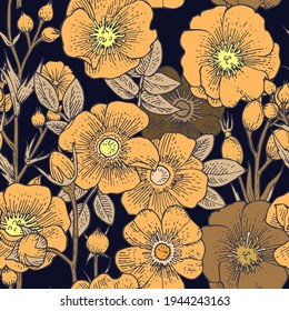 Rosehip flowers. Seamless pattern for wallpaper and fabric. Background illustration. Hand drawing outline. Flowering of garden plants. Abstract plant picture. Vector