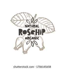 Rosehip hand drawn botanical plant sketch style illustration with typograthy. Grunge stylized vector herbal lettering illustration. Isolated outline berry drawing leaves. Monochrome leaf and flowers.