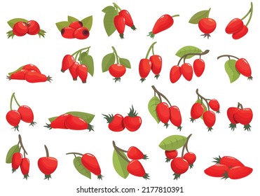 Los iconos de la cadera de roca establecen el vector de la caricatura. Jugo de agricultura. Berry bio