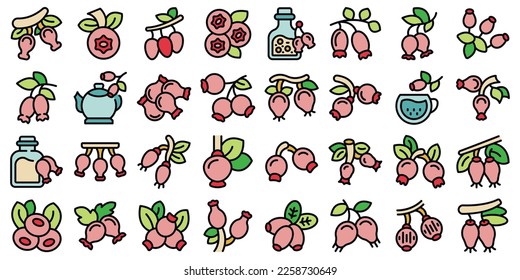 Rosehip icons set outline vector. Juice agriculture. Bio diet color line on white isolated