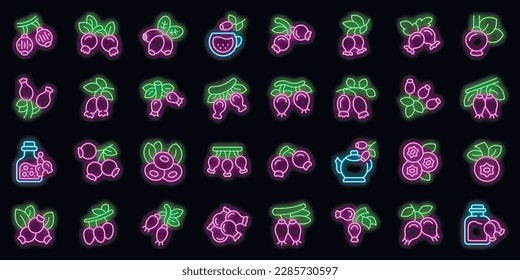 Los iconos de la cadera de rosca establecen el vector de contorno. Agricultura de jugo. Dieta bio color neón en negro