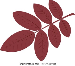 Silhouette de hoja de cadera. Ilustración del vector