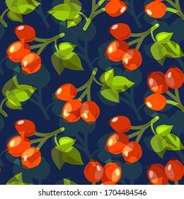  Rosehip leaves and berries. Seamless pattern on a dark background. Colorful background.Vector illustration