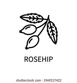 Rosehip Line Icon In Simple Style. Healthy Food. Natural Product. Vector sign in a simple style isolated on a white background