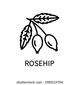 Rosehip Line Icon In Simple Style. Healthy Food. Natural Product. Vector sign in a simple style isolated on a white background