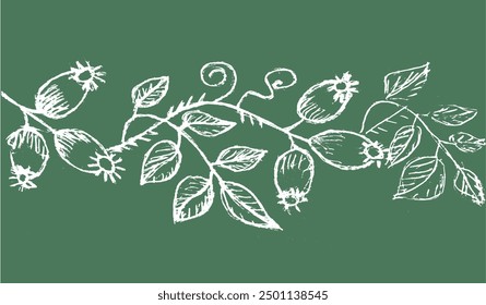 rosehip on a green background, three rosehip berries wrapped in leaves