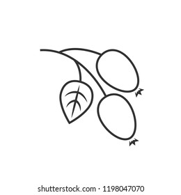 Rosehip outline icon