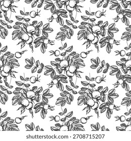Rosehip padrão sem emenda. Ramo com bagas e folhas. Ilustração vetorial desenhada à mão em tinta. Esboço gráfico isolado em um fundo branco. Elemento de design para etiquetas de chá, cosméticos, cartões
