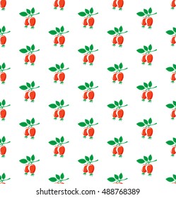Rosehip seamless pattern. Briar symbols on white background.