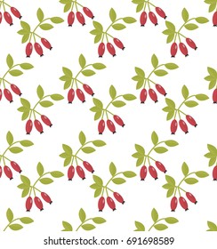 Rosehip seamless pattern. Hawthorn endless background. Red autumn berries repeating texture. Vector illustration