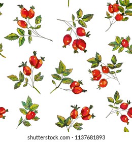Rosehip seamless pattern for tea. Vector graphic illustration
