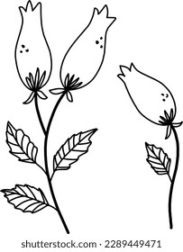 Rosehip set handmade minimalistic doodle drawing, graceful plants