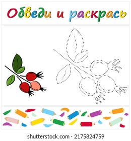 Rosehip. Task name "Trace and Color" in Russian. A page of a coloring book with a colorful berry. Repair the dotted line. Educational game. Cartoon style. Vector illustration for children, eps
